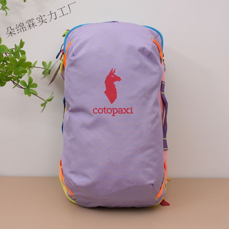 Waterproof Color Block Backpac - Travel Packing Accessories recension och pris