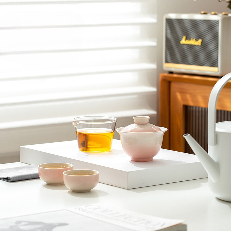 Plant Ash Glaze Gradient Trave - Portable Travel Kettle recension och pris